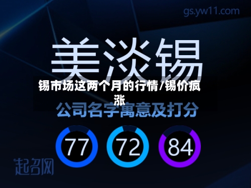 锡市场这两个月的行情/锡价疯涨-第2张图片