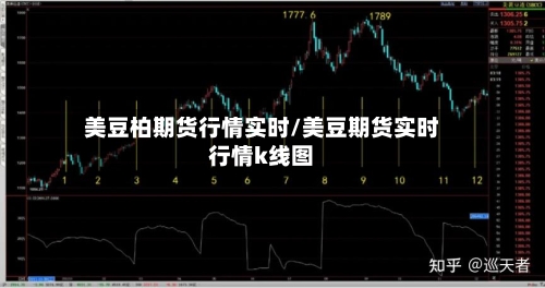 美豆柏期货行情实时/美豆期货实时行情k线图