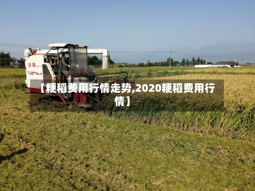 【粳稻费用行情走势,2020粳稻费用行情】