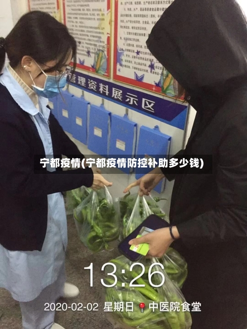 宁都疫情(宁都疫情防控补助多少钱)