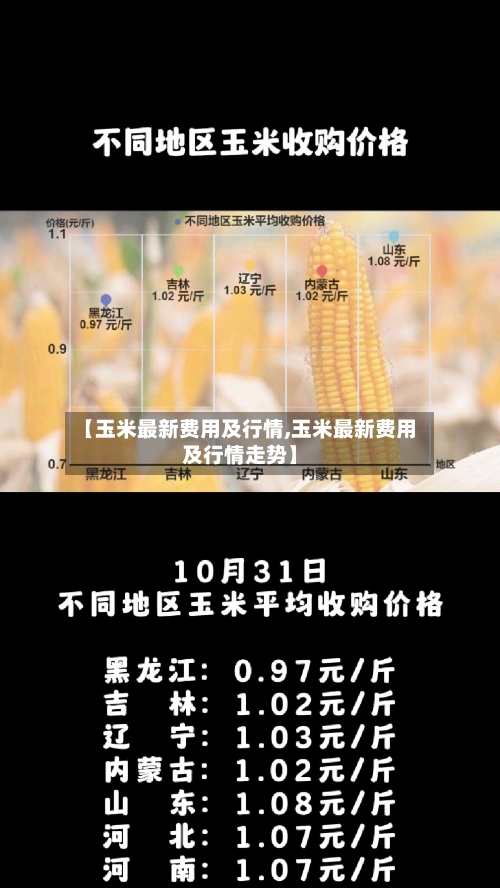 【玉米最新费用及行情,玉米最新费用及行情走势】-第3张图片