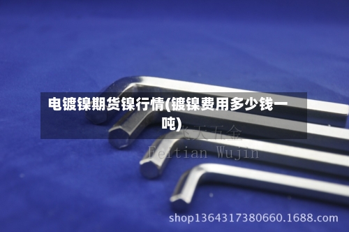 电镀镍期货镍行情(镀镍费用多少钱一吨)