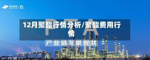 12月聚酯行情分析/聚酯费用行情