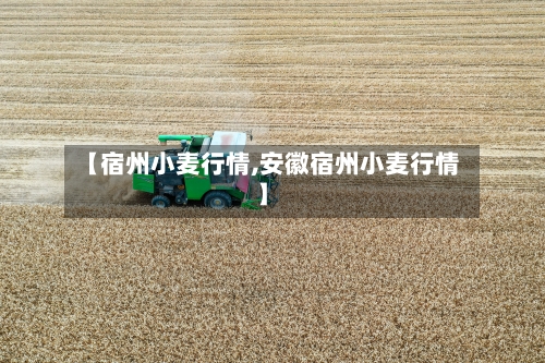 【宿州小麦行情,安徽宿州小麦行情】