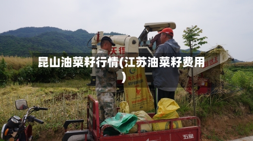 昆山油菜籽行情(江苏油菜籽费用)-第2张图片
