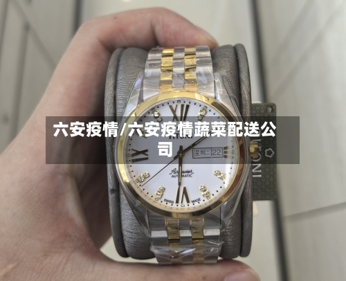 六安疫情/六安疫情蔬菜配送公司