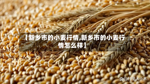 【新乡市的小麦行情,新乡市的小麦行情怎么样】-第2张图片