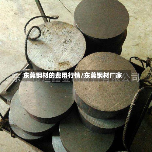 东莞钢材的费用行情/东莞钢材厂家