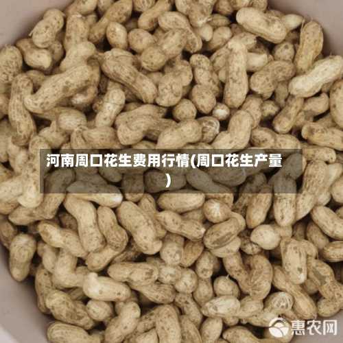 河南周口花生费用行情(周口花生产量)-第2张图片