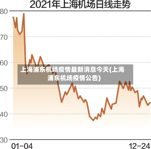 上海浦东机场疫情最新消息今天(上海浦东机场疫情公告)-第2张图片