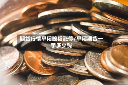 期货行情早稻晚稻涨停/早稻期货一手多少钱