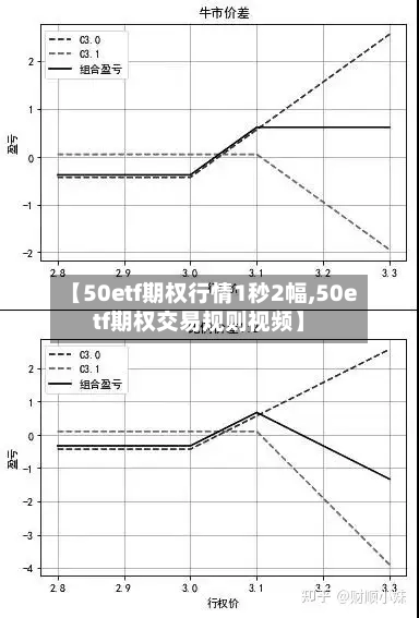 【50etf期权行情1秒2幅,50etf期权交易规则视频】-第3张图片