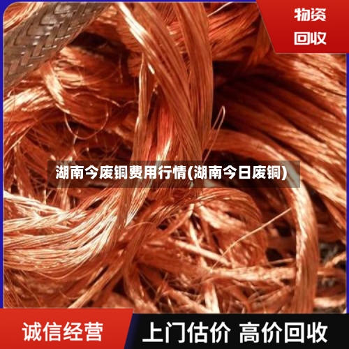 湖南今废铜费用行情(湖南今日废铜)