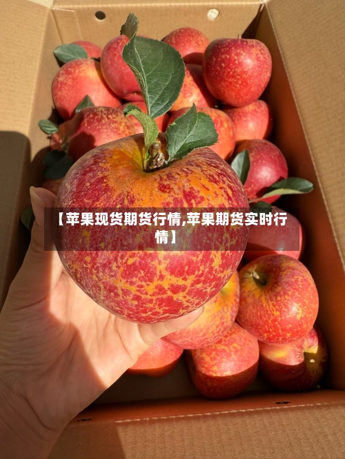 【苹果现货期货行情,苹果期货实时行情】