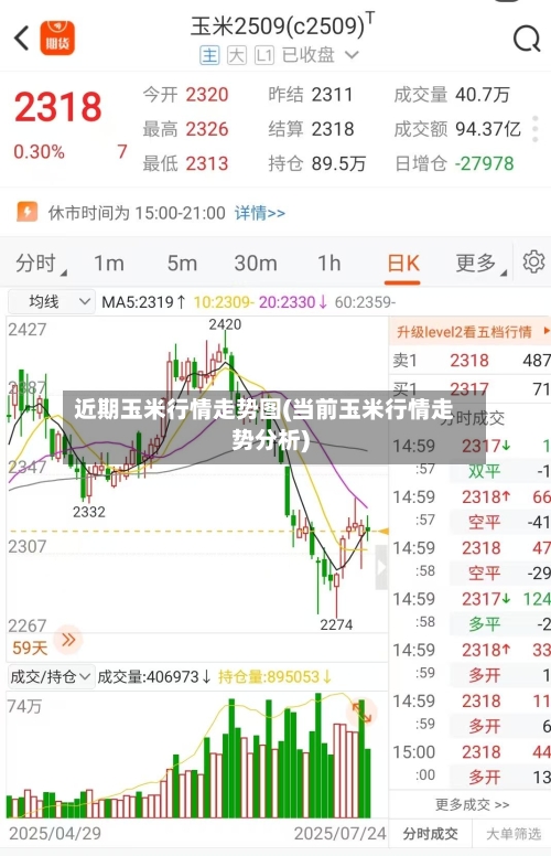 近期玉米行情走势图(当前玉米行情走势分析)