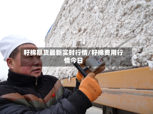 籽棉期货最新实时行情/籽棉费用行情今日