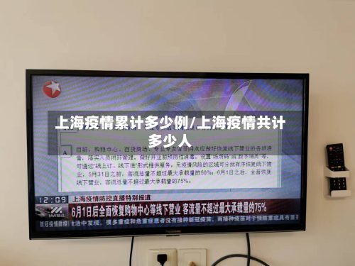 上海疫情累计多少例/上海疫情共计多少人-第2张图片