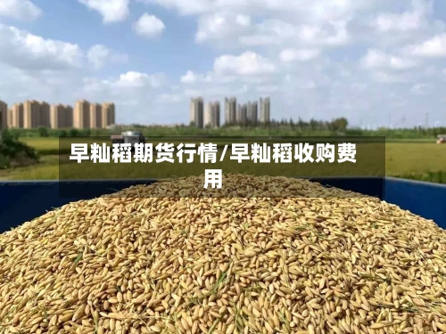 早籼稻期货行情/早籼稻收购费用-第2张图片