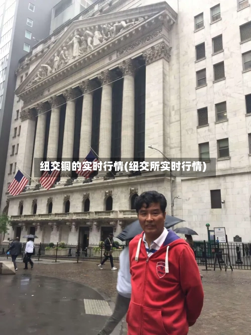 纽交铜的实时行情(纽交所实时行情)-第2张图片