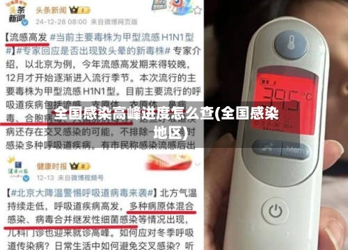 全国感染高峰进度怎么查(全国感染地区)-第2张图片