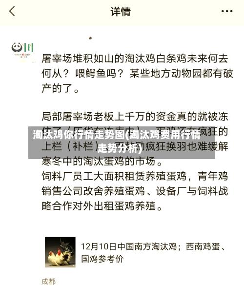 淘汰鸡你行情走势图(淘汰鸡费用行情走势分析)-第3张图片