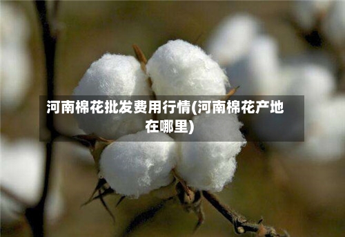 河南棉花批发费用行情(河南棉花产地在哪里)