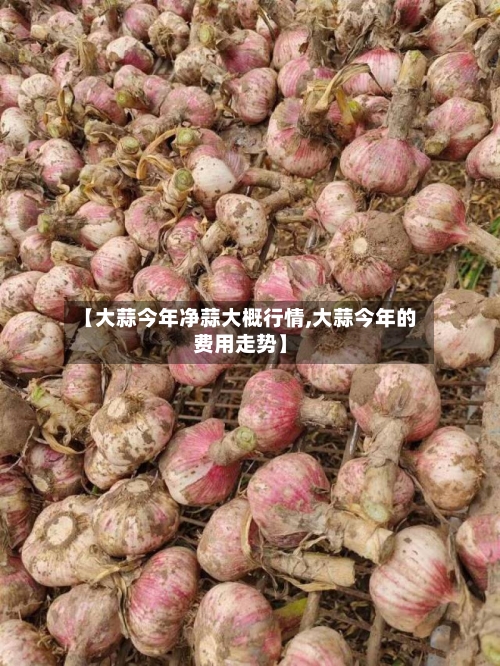 【大蒜今年净蒜大概行情,大蒜今年的费用走势】-第2张图片