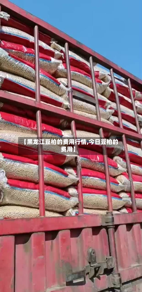 【黑龙江豆柏的费用行情,今日豆柏的费用】