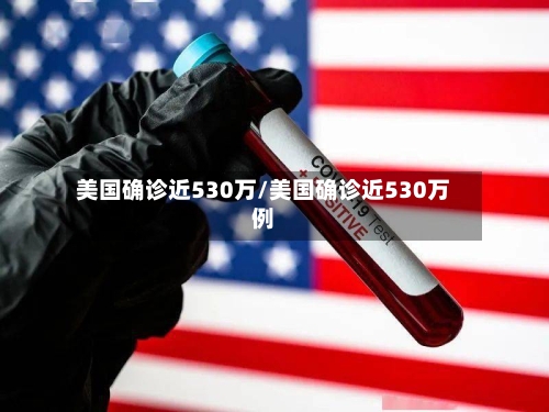 美国确诊近530万/美国确诊近530万例-第3张图片