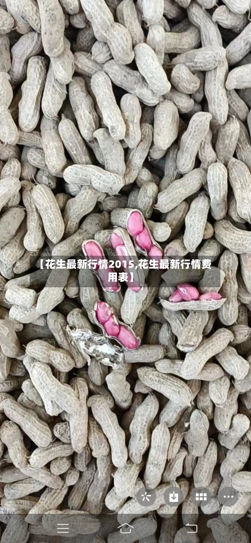 【花生最新行情2015,花生最新行情费用表】