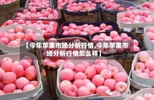 【今年苹果市场分析行情,今年苹果市场分析行情怎么样】