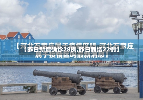 【昨日新增确诊28例,昨日新增22例】-第2张图片