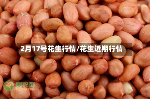 2月17号花生行情/花生近期行情-第2张图片