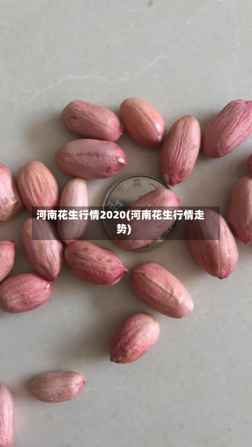 河南花生行情2020(河南花生行情走势)