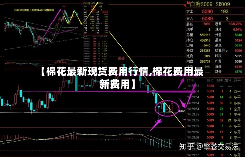 【棉花最新现货费用行情,棉花费用最新费用】-第2张图片