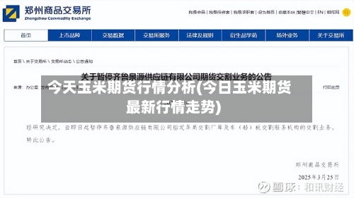 今天玉米期货行情分析(今日玉米期货最新行情走势)-第2张图片