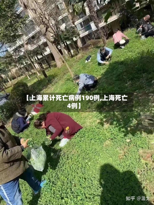 【上海累计死亡病例190例,上海死亡4例】