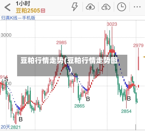 豆粕行情走势(豆粕行情走势图)