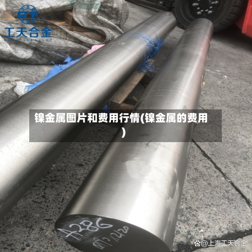 镍金属图片和费用行情(镍金属的费用)-第3张图片