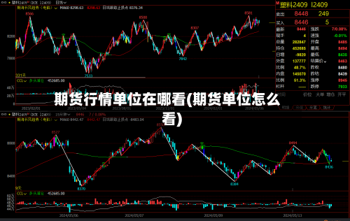 期货行情单位在哪看(期货单位怎么看)