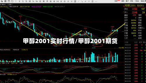 甲醇2001实时行情/甲醇2001期货-第3张图片