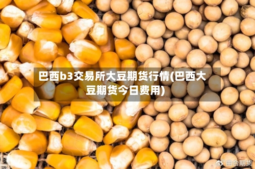 巴西b3交易所大豆期货行情(巴西大豆期货今日费用)-第3张图片