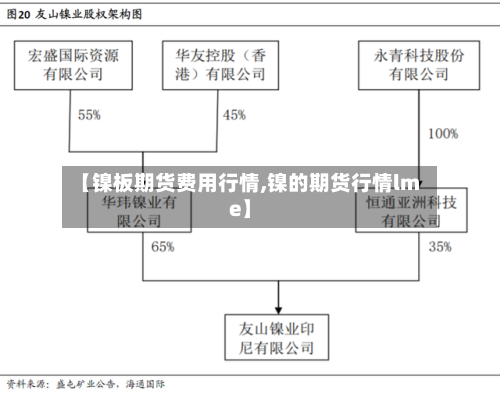 【镍板期货费用行情,镍的期货行情lme】-第2张图片