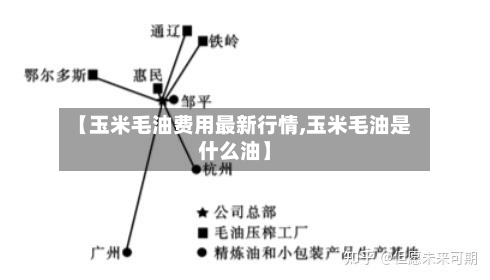 【玉米毛油费用最新行情,玉米毛油是什么油】-第2张图片