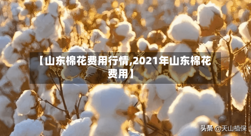 【山东棉花费用行情,2021年山东棉花费用】