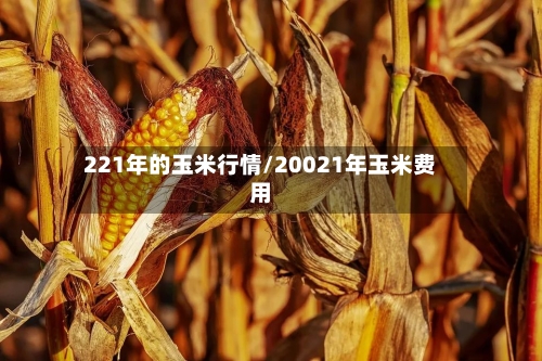 221年的玉米行情/20021年玉米费用