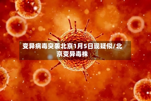 变异病毒突袭北京1月5日现疑似/北京变异毒株