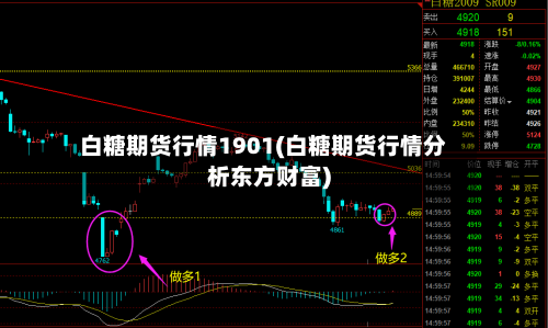 白糖期货行情1901(白糖期货行情分析东方财富)-第2张图片