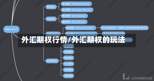 外汇期权行情/外汇期权的玩法-第3张图片