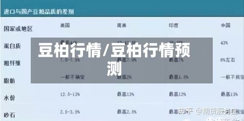 豆柏行情/豆柏行情预测
